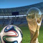 2014 FIFA World Cup