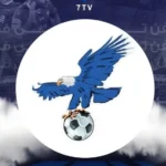 فولتشر ايفون وايباد